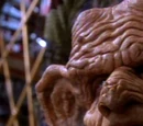 Grote Nagus