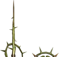Princess Rapier