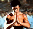 Galería:Liu Kang (MK)