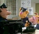 Bear on Patrol