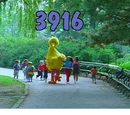 Episode 3916