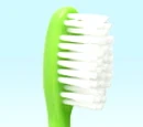 Sesame Street toothbrushes and toothpaste (Crest)