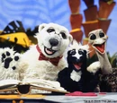 The Animal Show