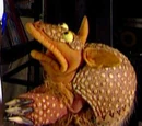 A Behind the Scenes Look at Kermit's Swamp Years