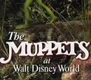 The Muppets at Walt Disney World