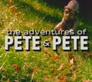 The Adventures of Pete & Pete