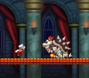 Dry Bowser
