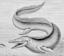Mosasaur