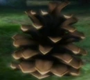 Conifer Spire