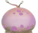 Greater Spotted Jellyfloat