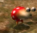 Dwarf Bulborb