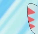 Brandon's Ninjask
