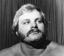 Ole Anderson