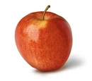 Gala apple