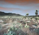 Gaptooth Ridge