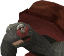 War tortoise