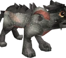 Dragon Wolf
