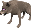 Cave Wolf Matriarch