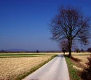 Poland
