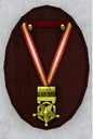 Epic hero medal.jpg