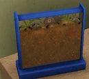 Ant farm