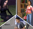 Sim State University households