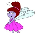 Woodnymphs