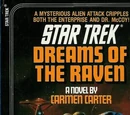 Dreams of the Raven