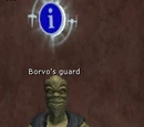 Borvo's Guard