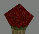 Potted Plant