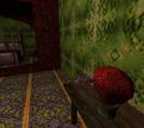 Tatyana's Flower