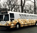 Biodiesel