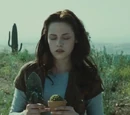 Gallery:Bella Swan