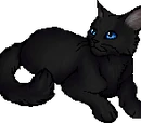 Cinderpelt