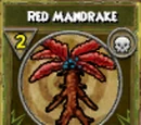 Red Mandrake