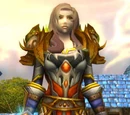 Tabard of the Achiever