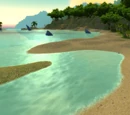 Savage Coast