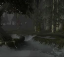 Darkshore