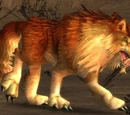 Ember Worg