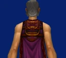 Drape of the Dark Reavers