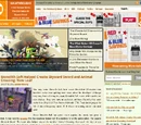 Zelda Informer