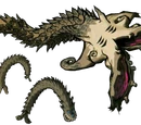 Molgera