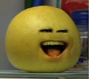 Grapefruit's family