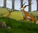 Fauna in the World of Avatar