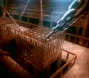 Hama's prison