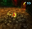 Wonderwing