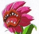 Mad Flower