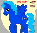 Vee Twin