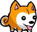 Pazzo