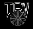 Terrordome Championship Wrestling Asterisk